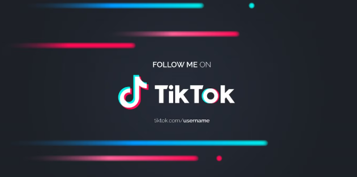 Herstel TikTok-account 1